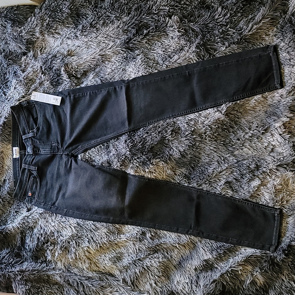 Hudson Krista Low Rise Skinny Jeans in Zuri